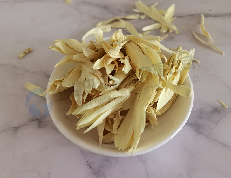白玉蘭凍干，鮮花凍干機應用于白玉蘭真空冷凍干燥