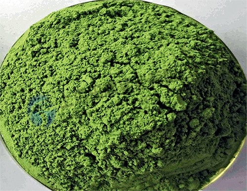 食葉草凍干機：真空冷凍干燥機技術(shù)特點和應(yīng)用案例