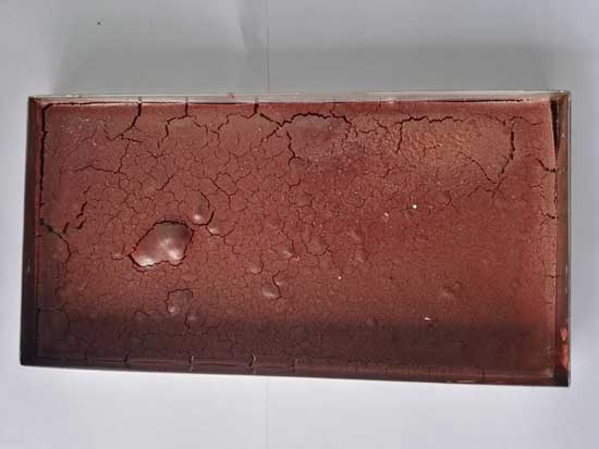 鱷魚(yú)血液凍干