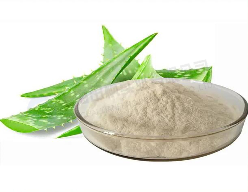 蘆薈凍干，凍干粉真空冷凍干燥機應用于蘆薈凍干