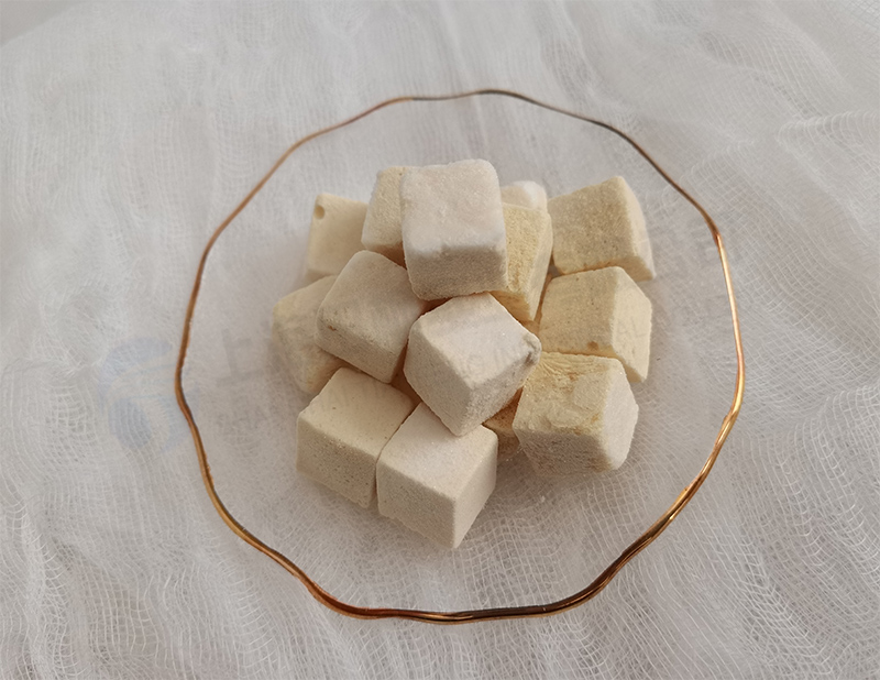 酸奶塊凍干，食品凍干機(jī)應(yīng)用于酸奶真空冷凍干燥