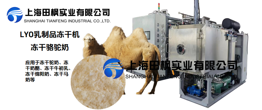 凍干機(jī)留住駝奶的原汁原味